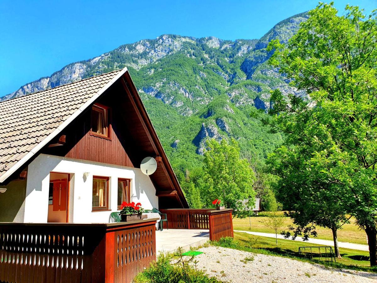 Bohinj Star Apartments Exteriör bild